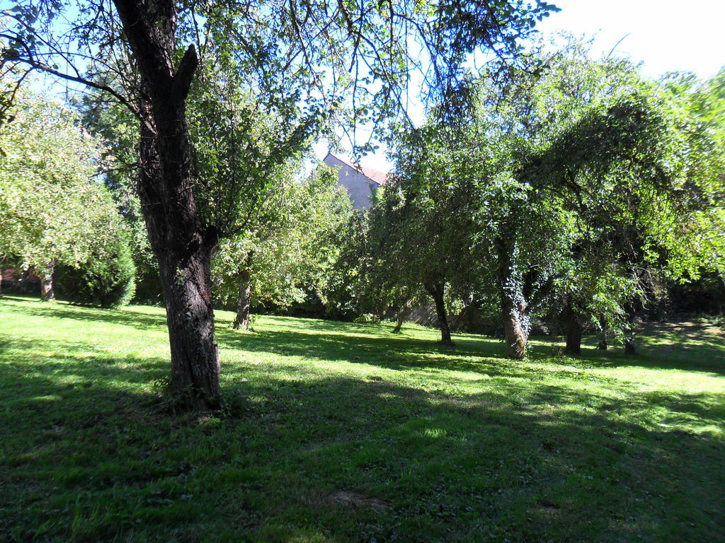 A L'Aube Des Volcans Charbonnieres-les-Vieilles Luaran gambar